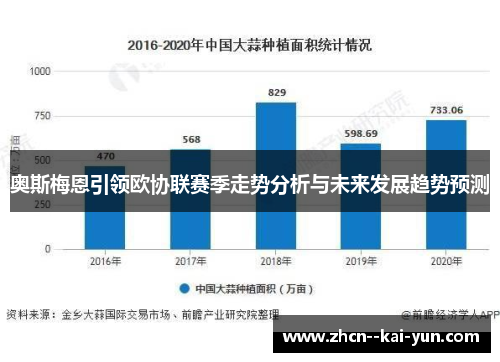 奥斯梅恩引领欧协联赛季走势分析与未来发展趋势预测